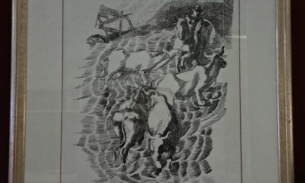Cagli Corrado - La rotta del Po II