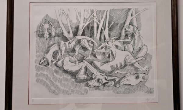 Cagli Corrado - Bosco e Burcani